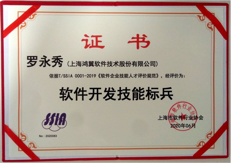 上海软件开发行业观察:技术与创新的双重奏